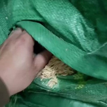 打包稻壳验货中