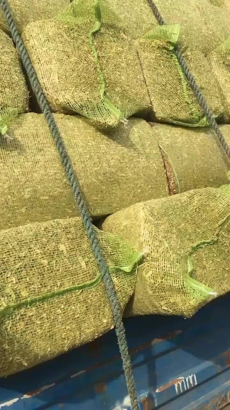 精品铡段秸秆