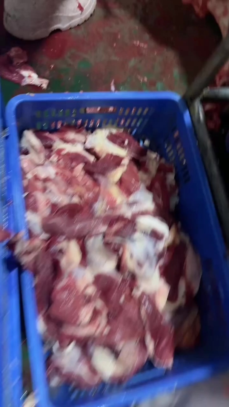 大块纯干货牛肉筋