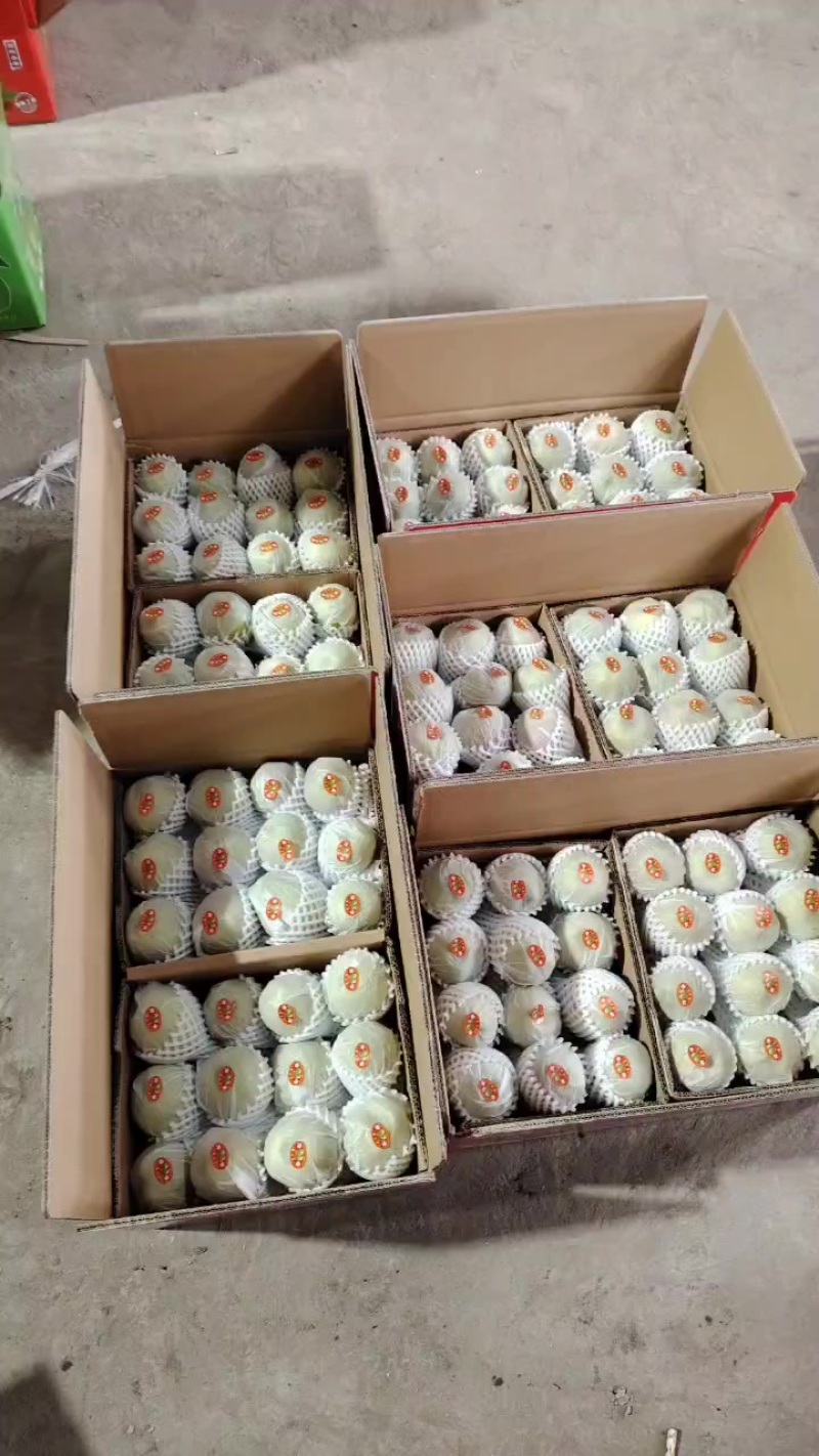 本人专业做新疆库尔勒香梨，一手货源没有中间商