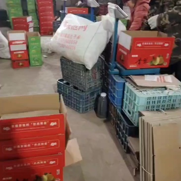 本人专业做新疆库尔勒香梨，一手货源没有中间商