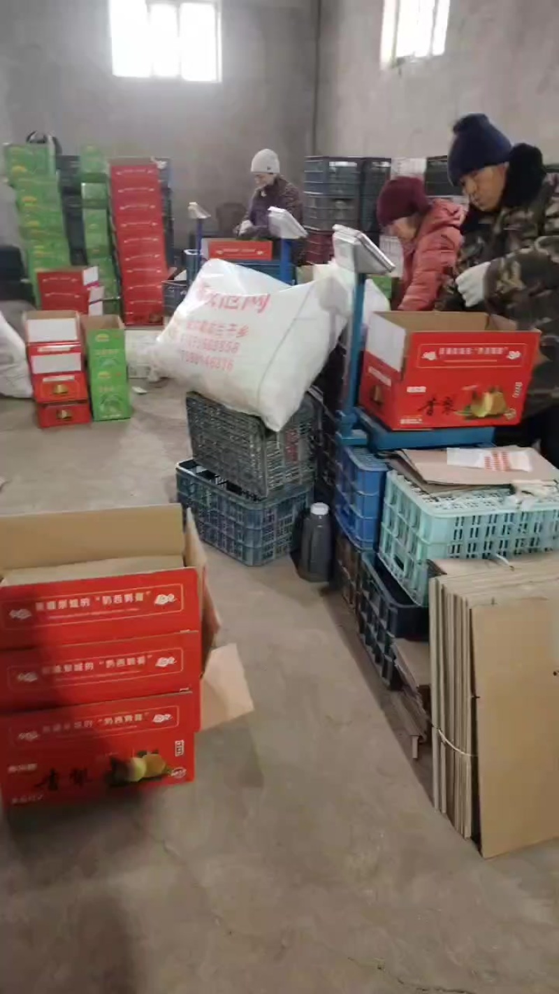 本人专业做新疆库尔勒香梨，一手货源没有中间商