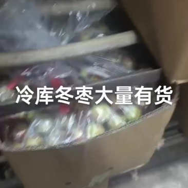 冷库冬枣大量有货