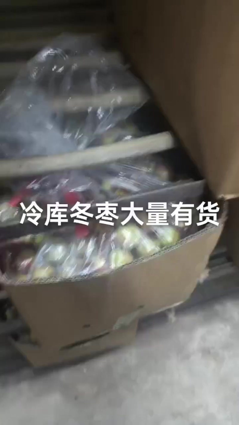 冷库冬枣大量有货