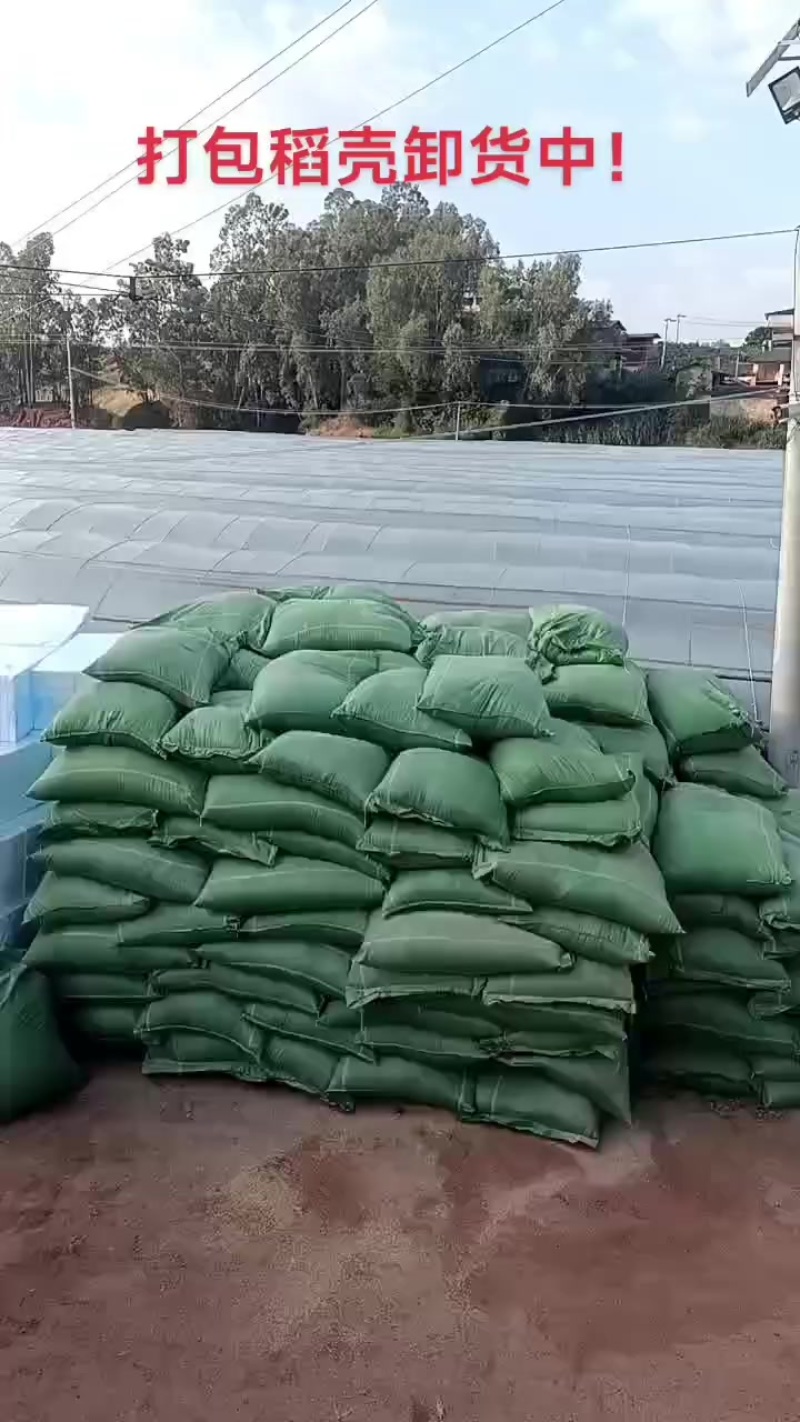 打包稻壳卸货中！
