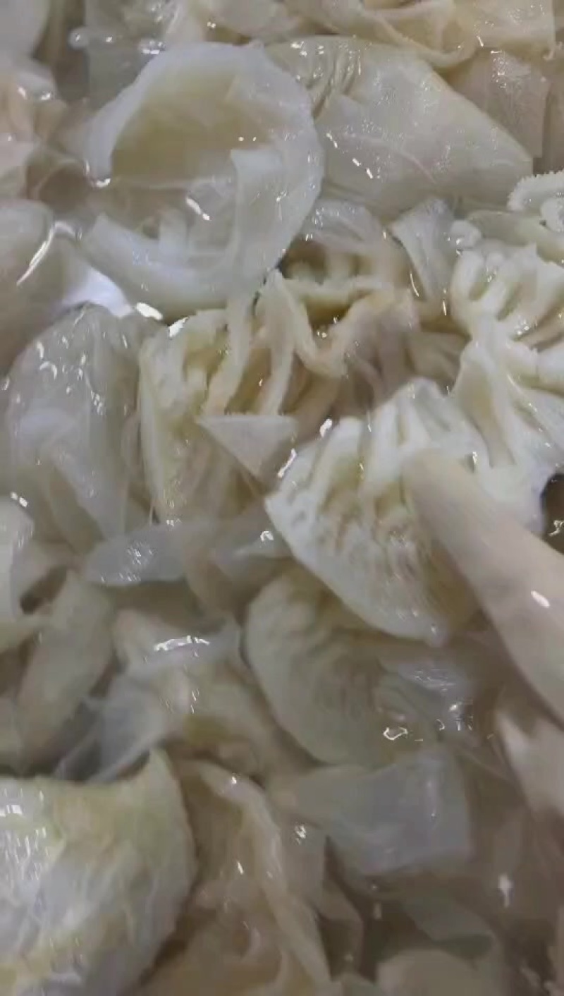白毛肚大边