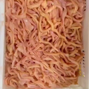 发鸭肠