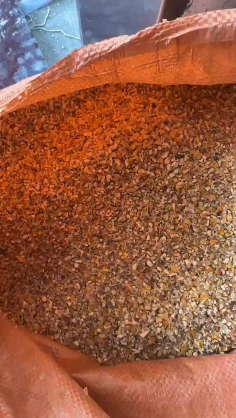 广东玉米碎，广东广西可提