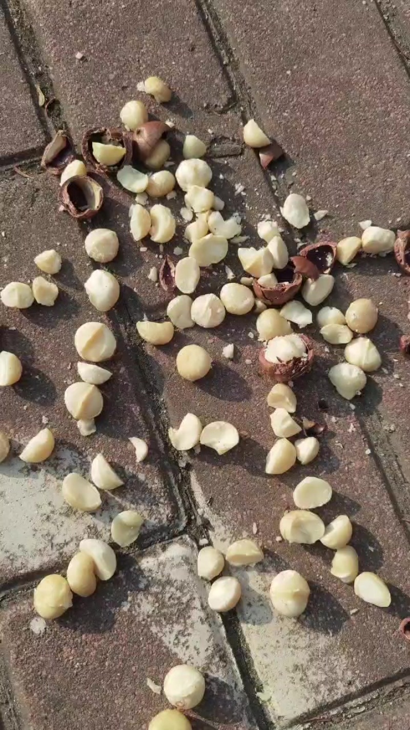 夏威夷果