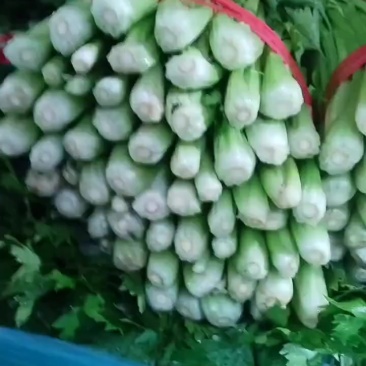 芹菜