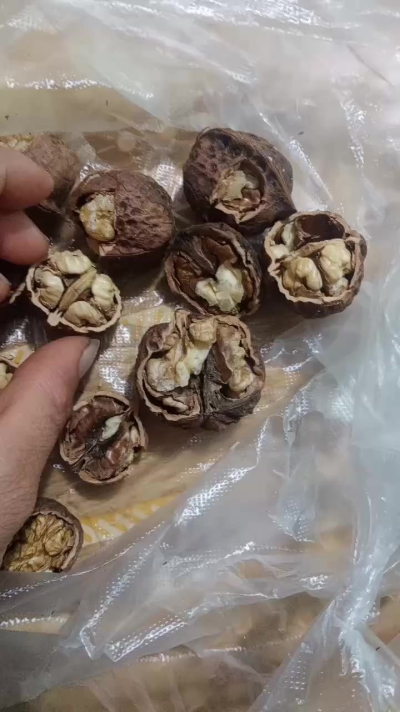 核桃红铜