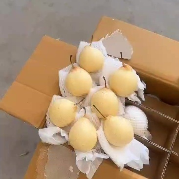 水晶鸭梨电商供应连锁商超供应市场精品产地一手货源