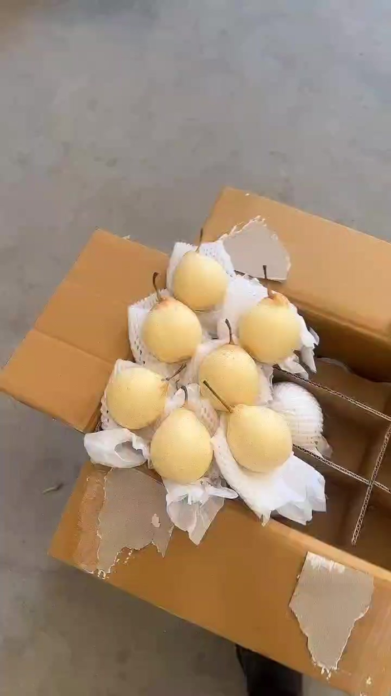 水晶鸭梨电商供应连锁商超供应市场精品产地一手货源