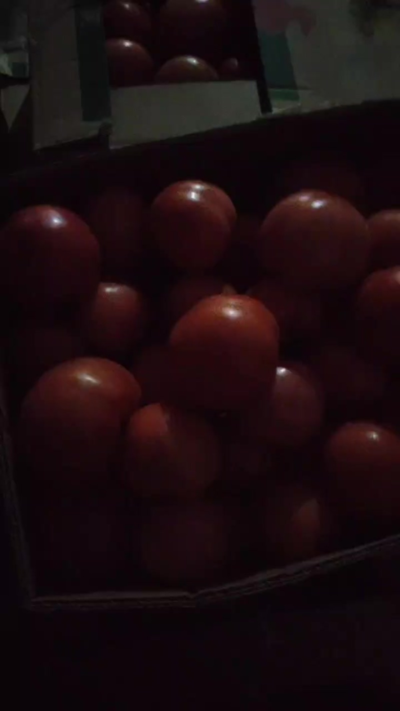 西红柿掉价了