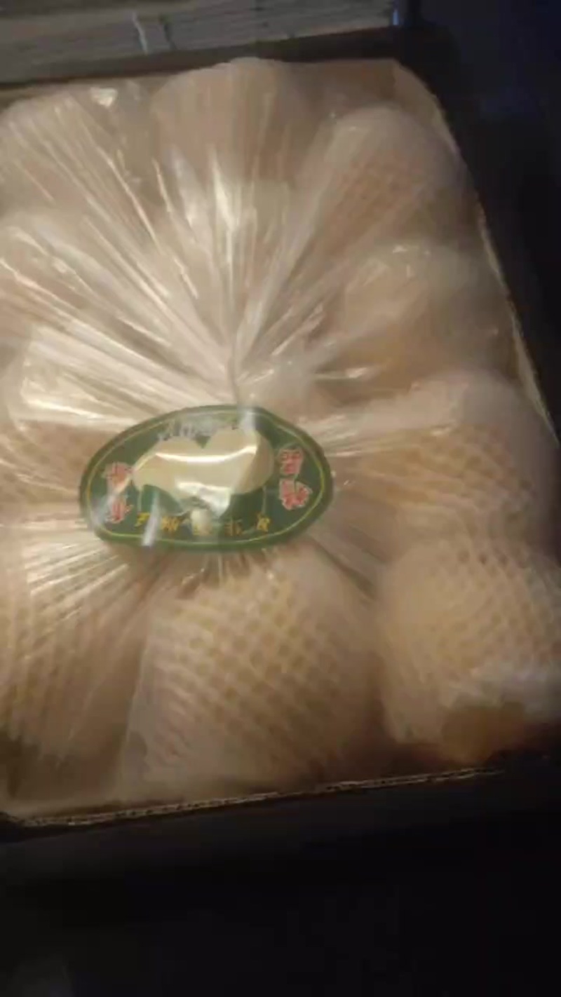 精品酥梨，贡梨，蜜梨，纯商品，口感嘎嘎甜，皮毛亮度嘎嘎好