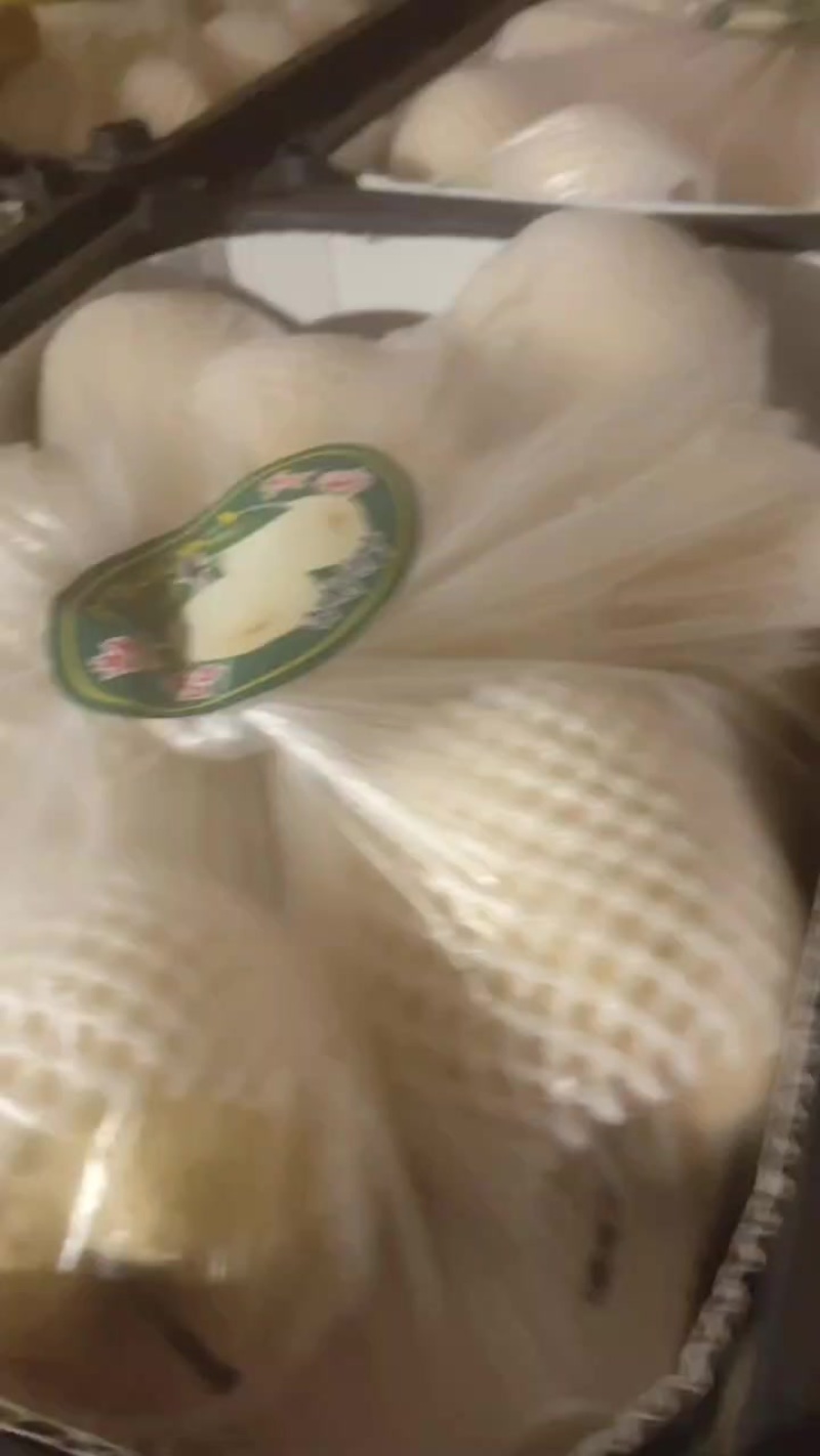 精品酥梨，贡梨，蜜梨，纯商品，口感嘎嘎甜，皮毛亮度嘎嘎好