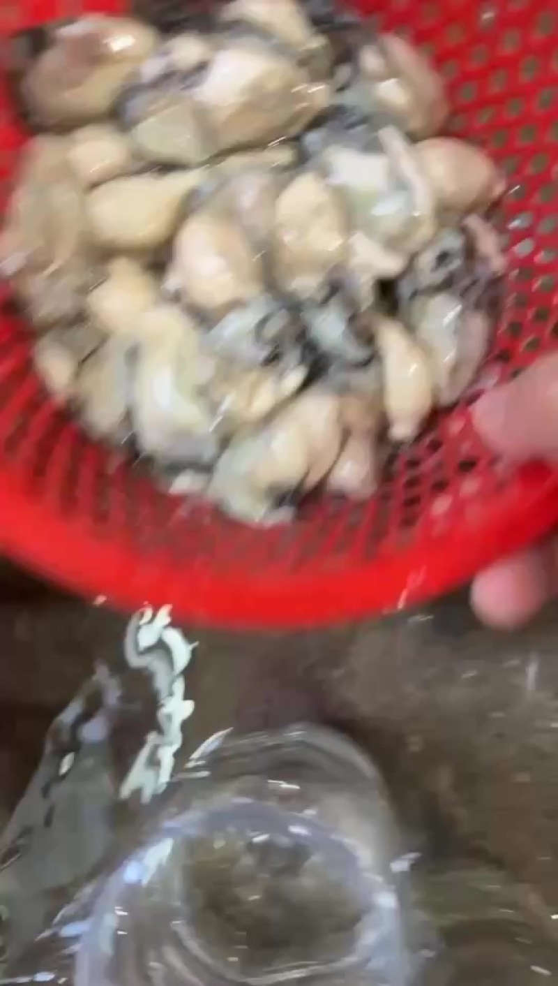 精品生蚝