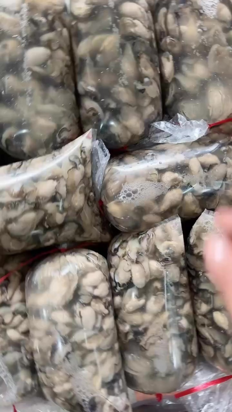 精品生蚝