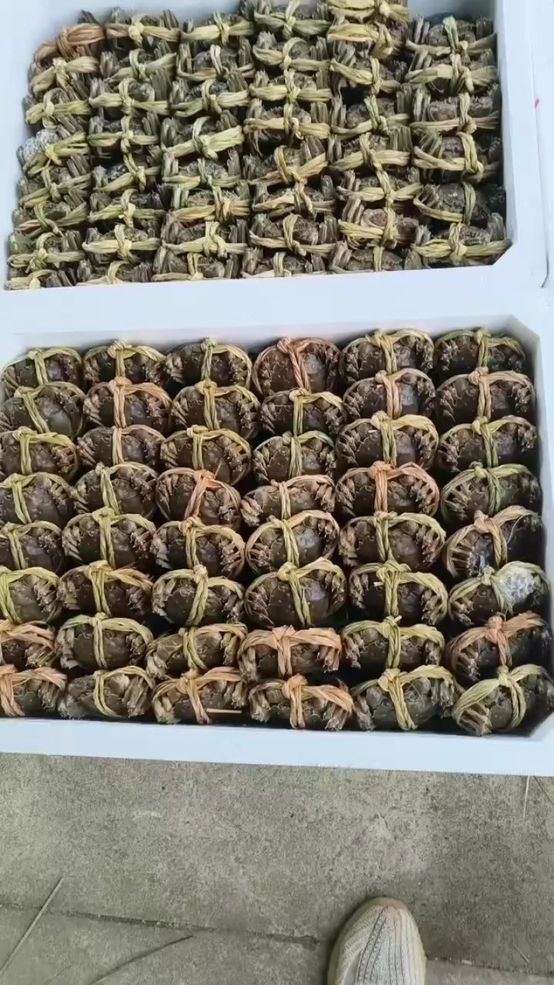 想吃的大闸蟹