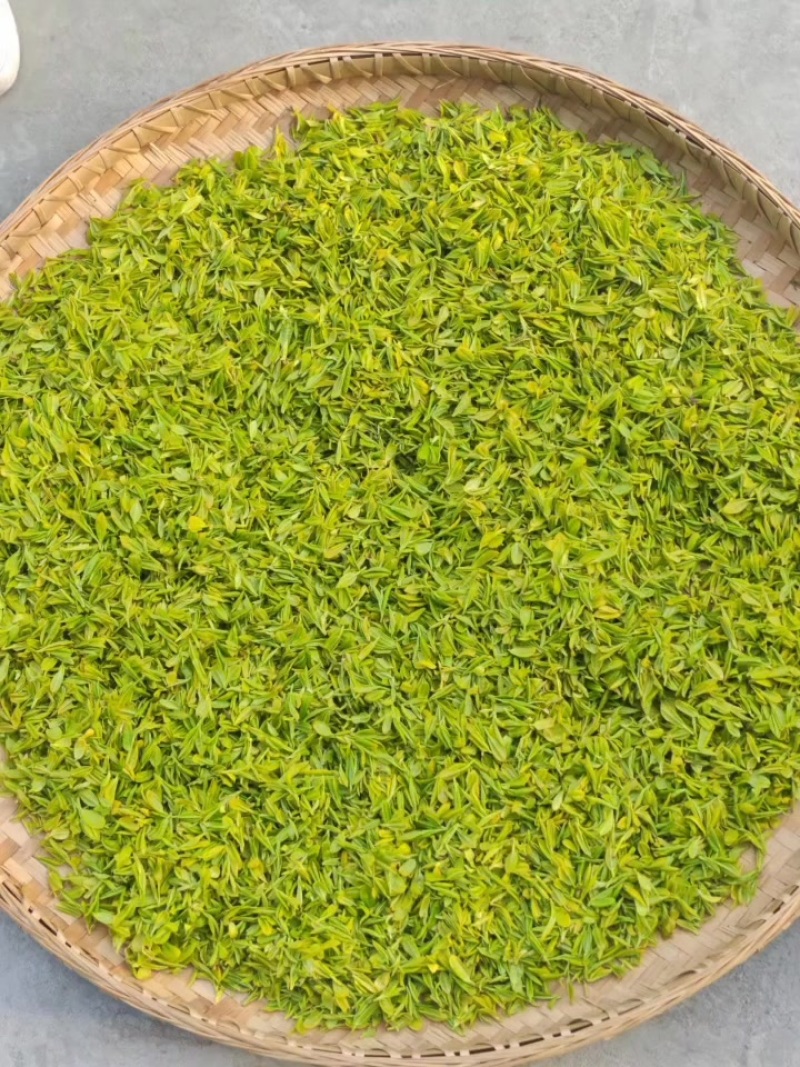 旺苍米仓山黄茶