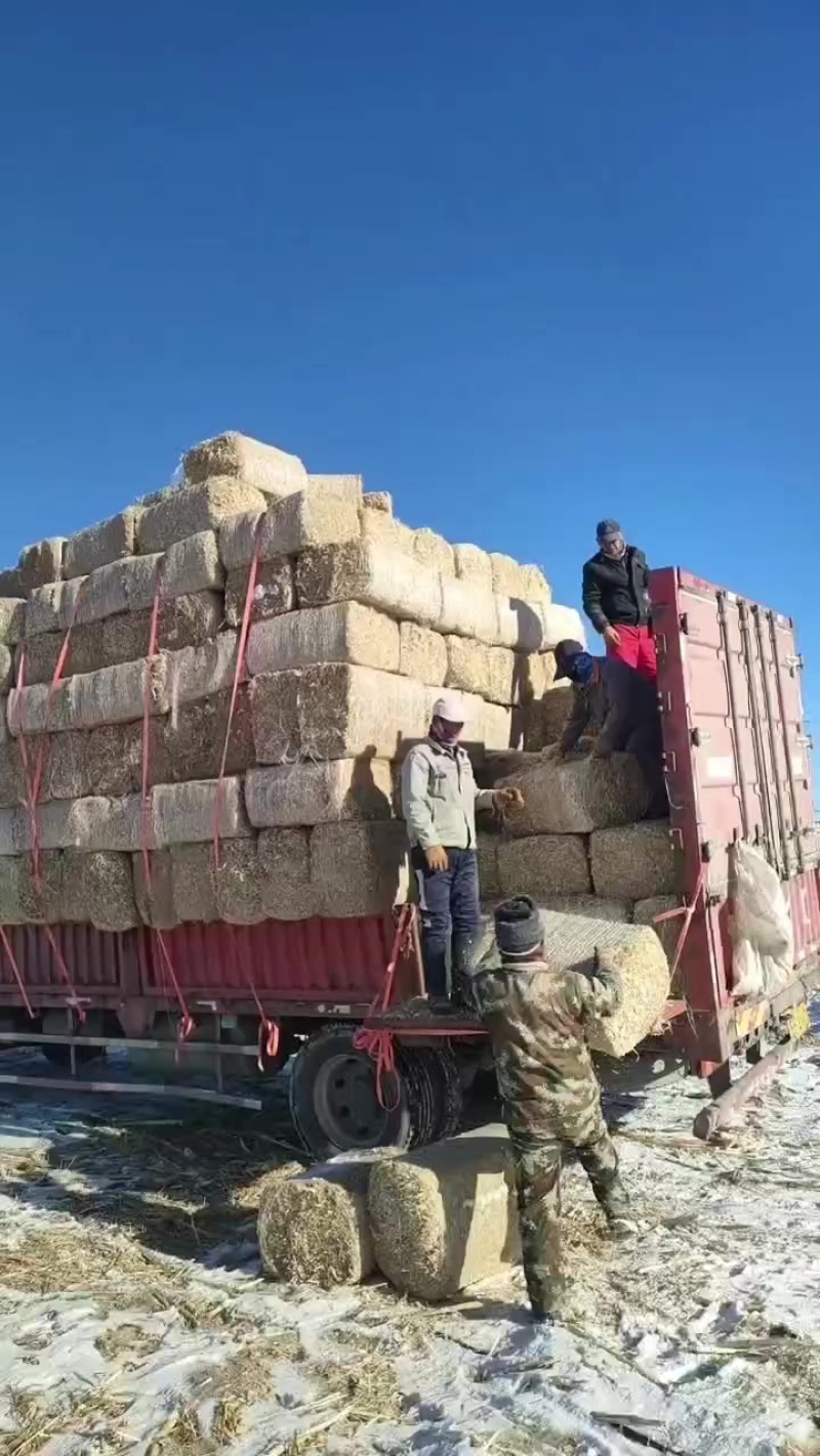 优质秸秆，现打现上车