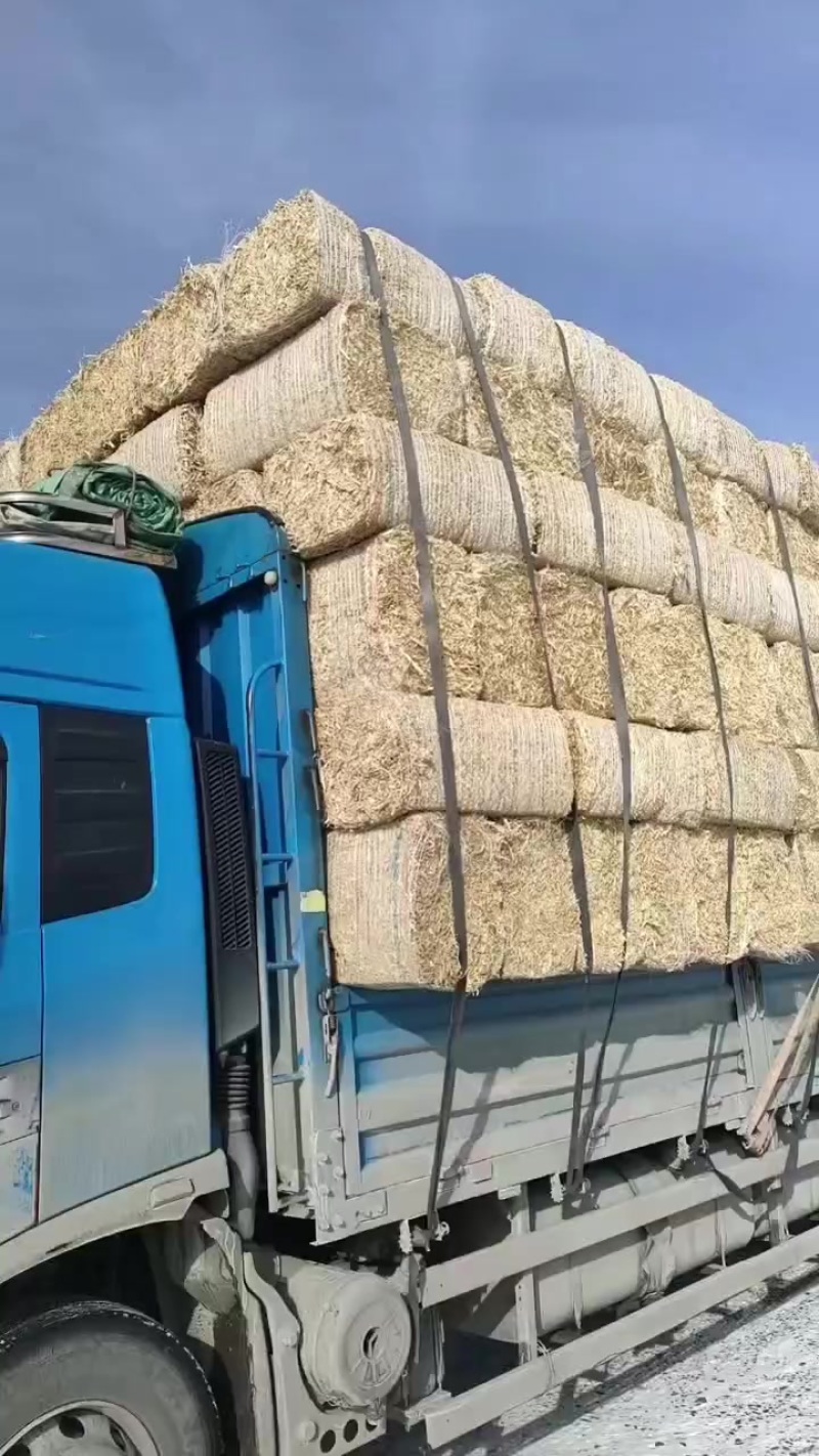 优质秸秆，现打现上车