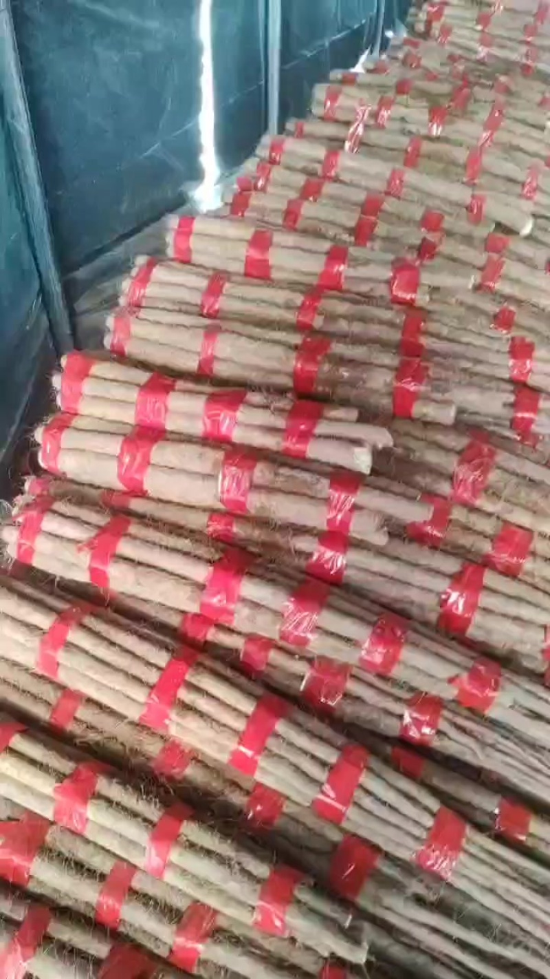灵宝西施山药，通货打捆中