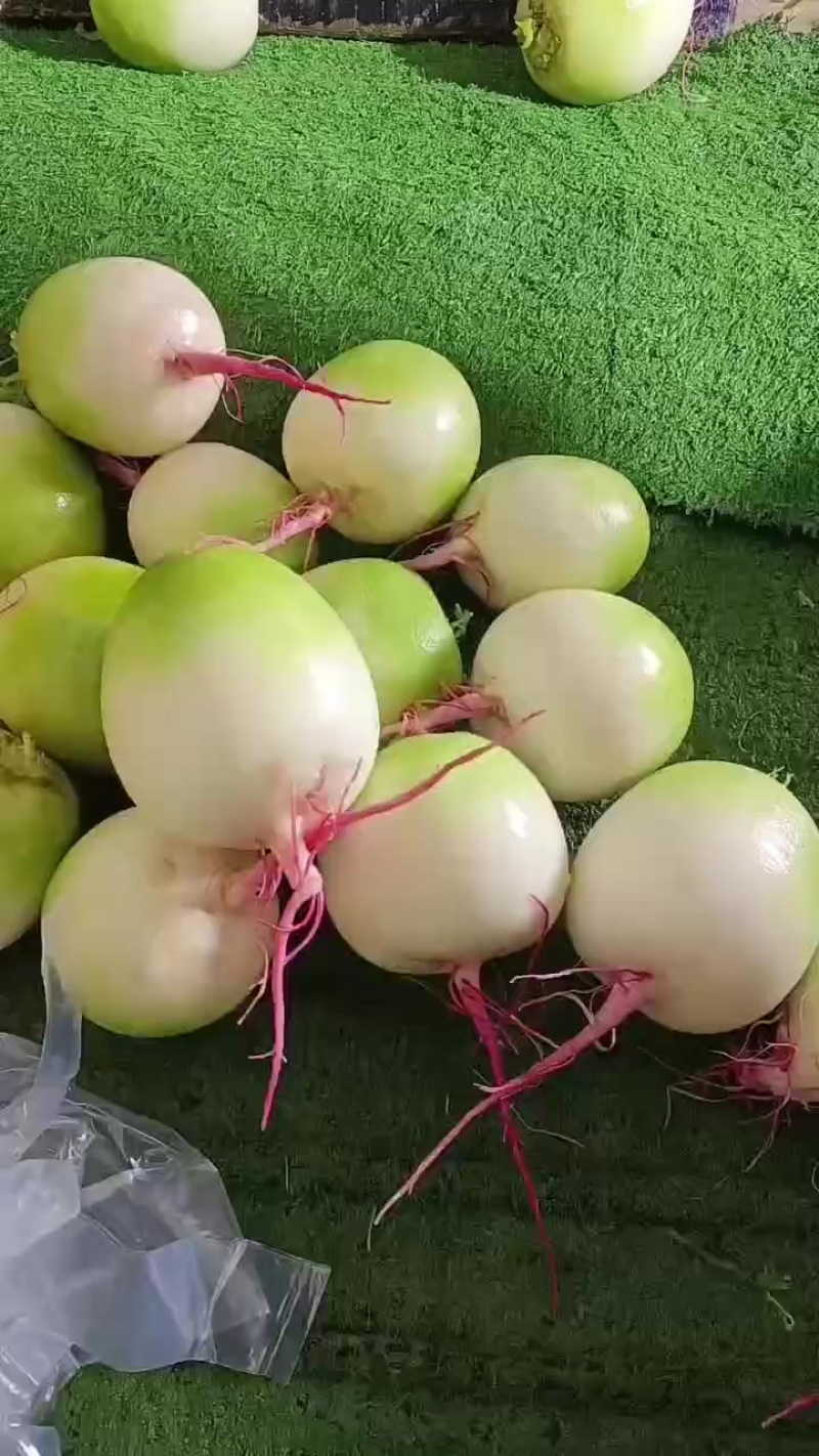 心里美