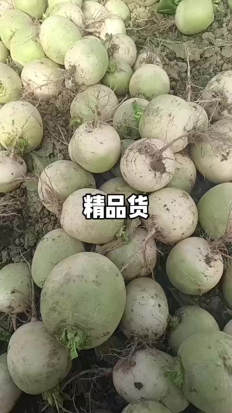 心里美