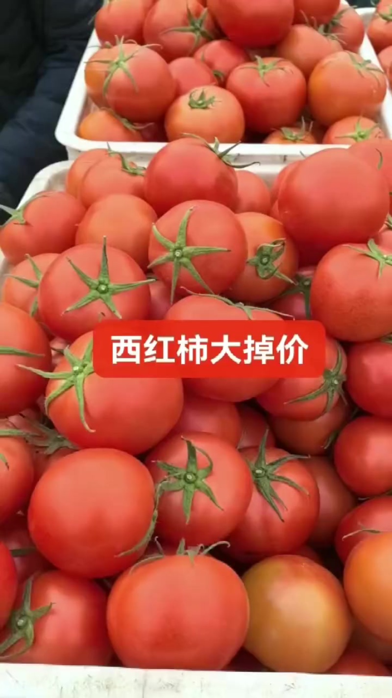 沙瓤西红柿