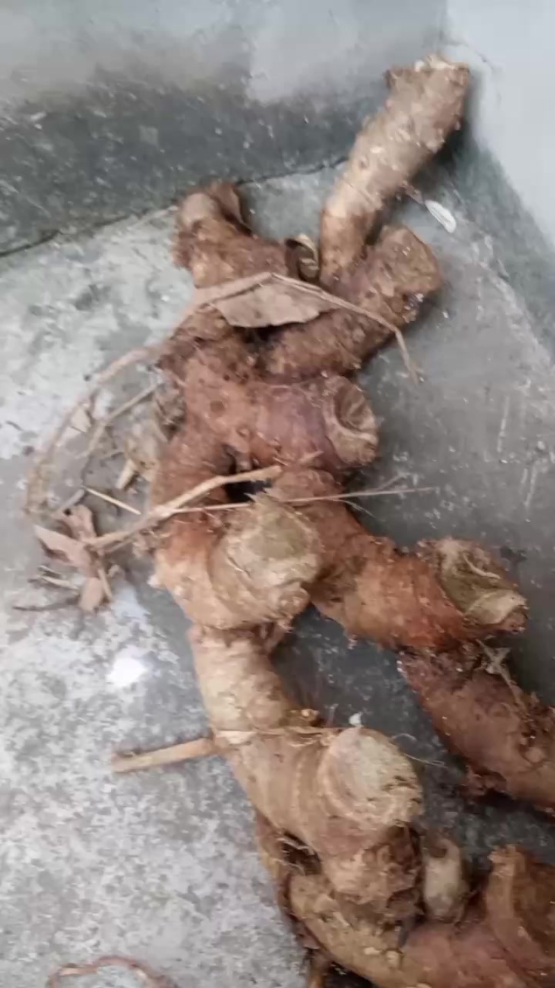 良姜