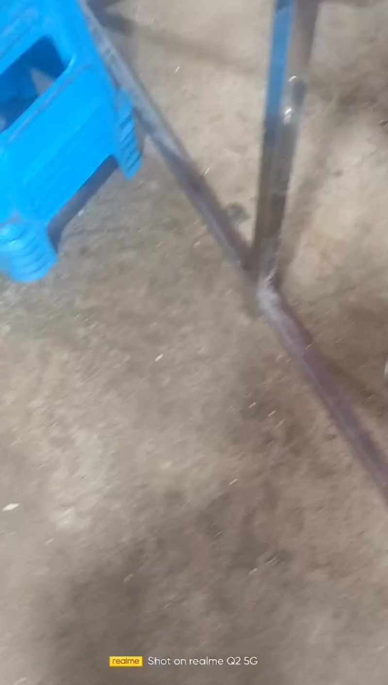 蟹肉蟹黄对外对接，标价就是实价