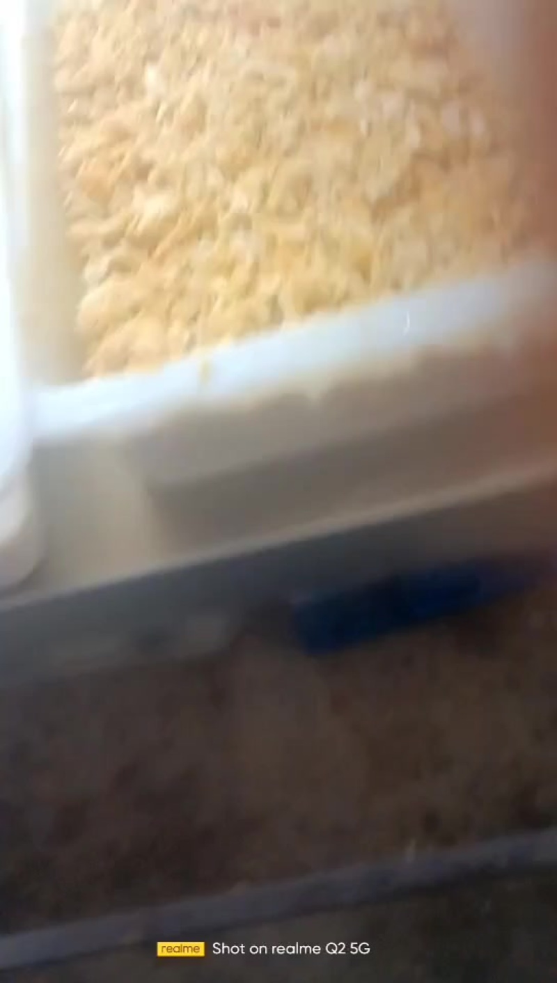 蟹肉蟹黄对外对接，标价就是实价