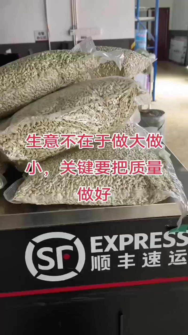 红桔种子