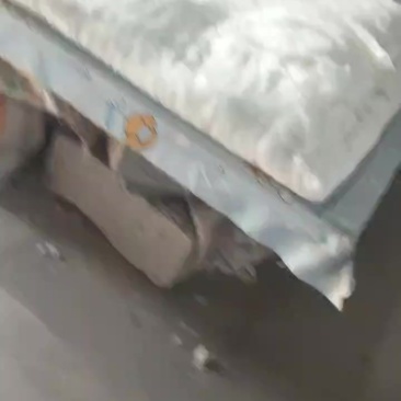 新疆优质陆地棉打照的网套