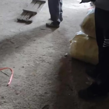 精品马帝
