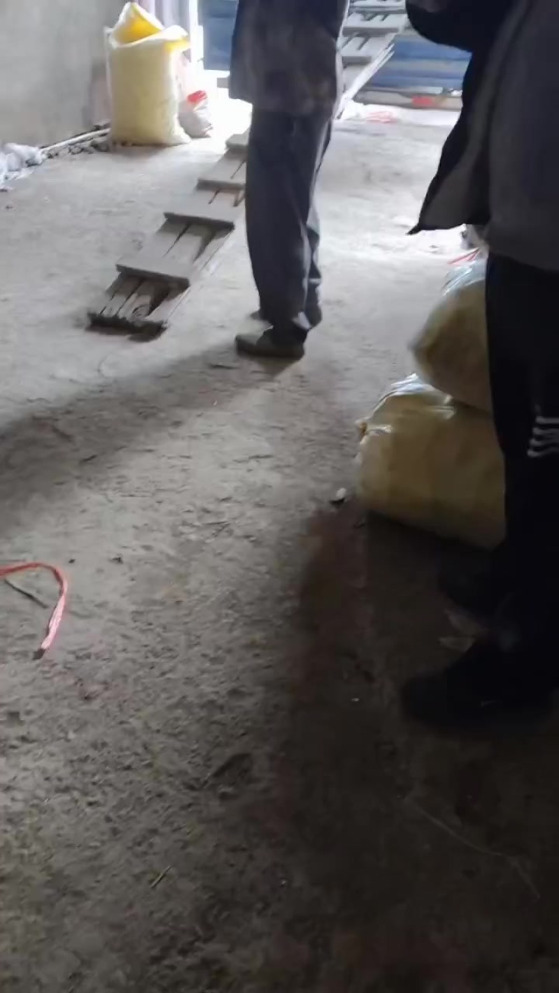 精品马帝