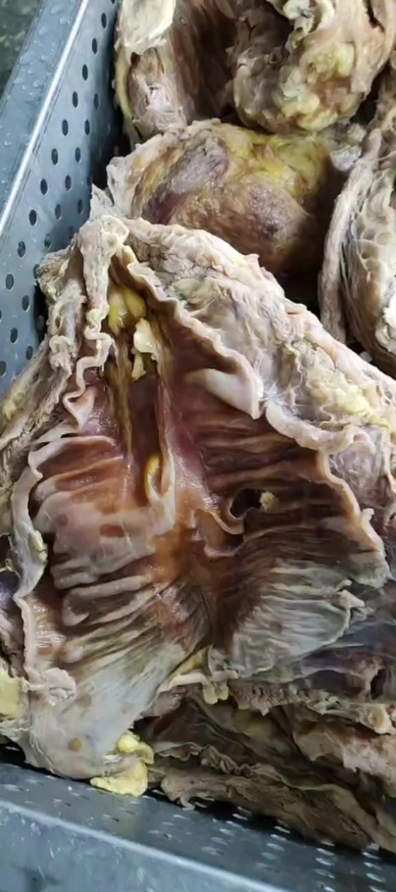8分熟牛腩