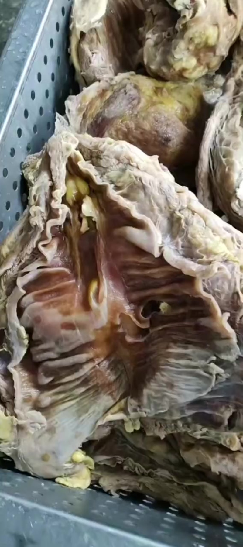 8分熟牛腩