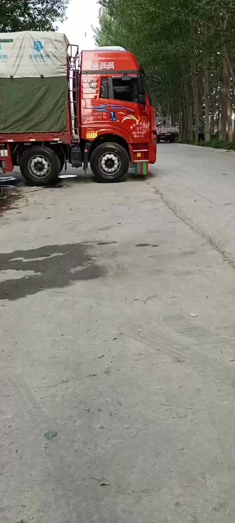 山东长豆角大量上市，地理位置优越，运输方便