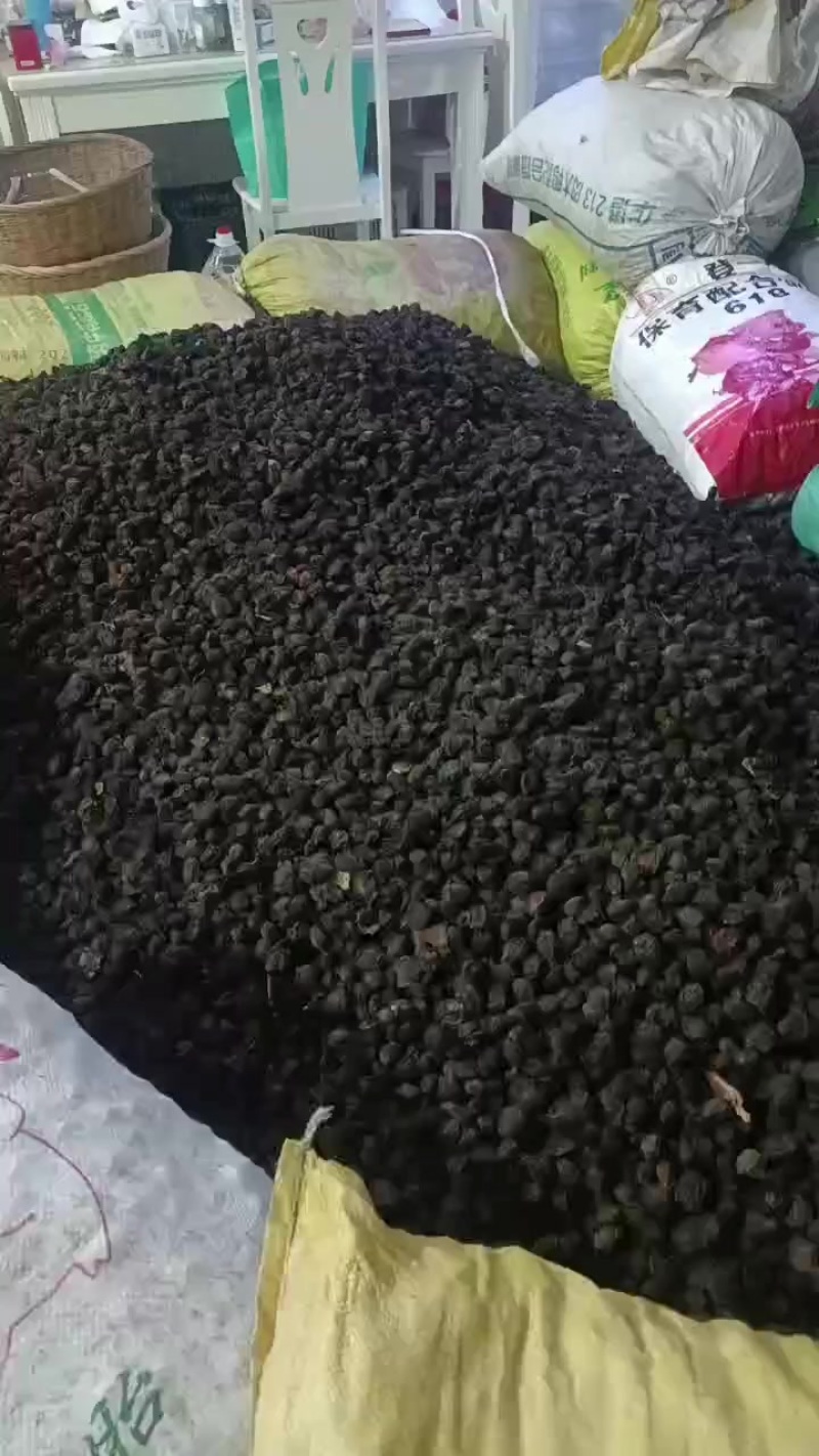 自产自销乌梅干，新货新货，有需要的老板请联系我