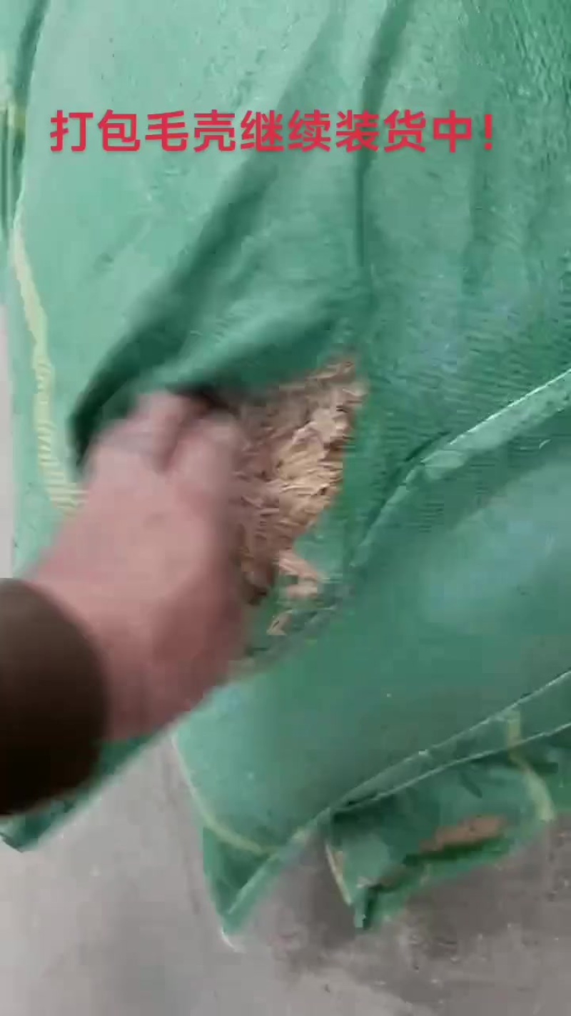 打包稻壳继续装货中！