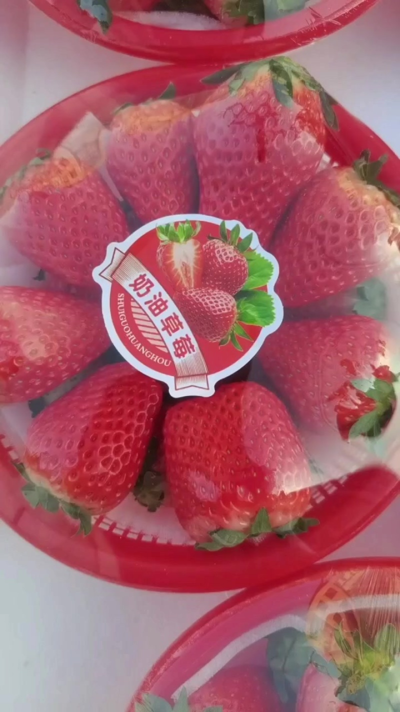 红颜草莓