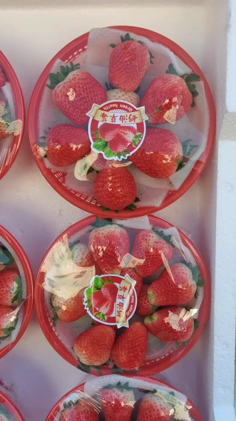 红颜草莓