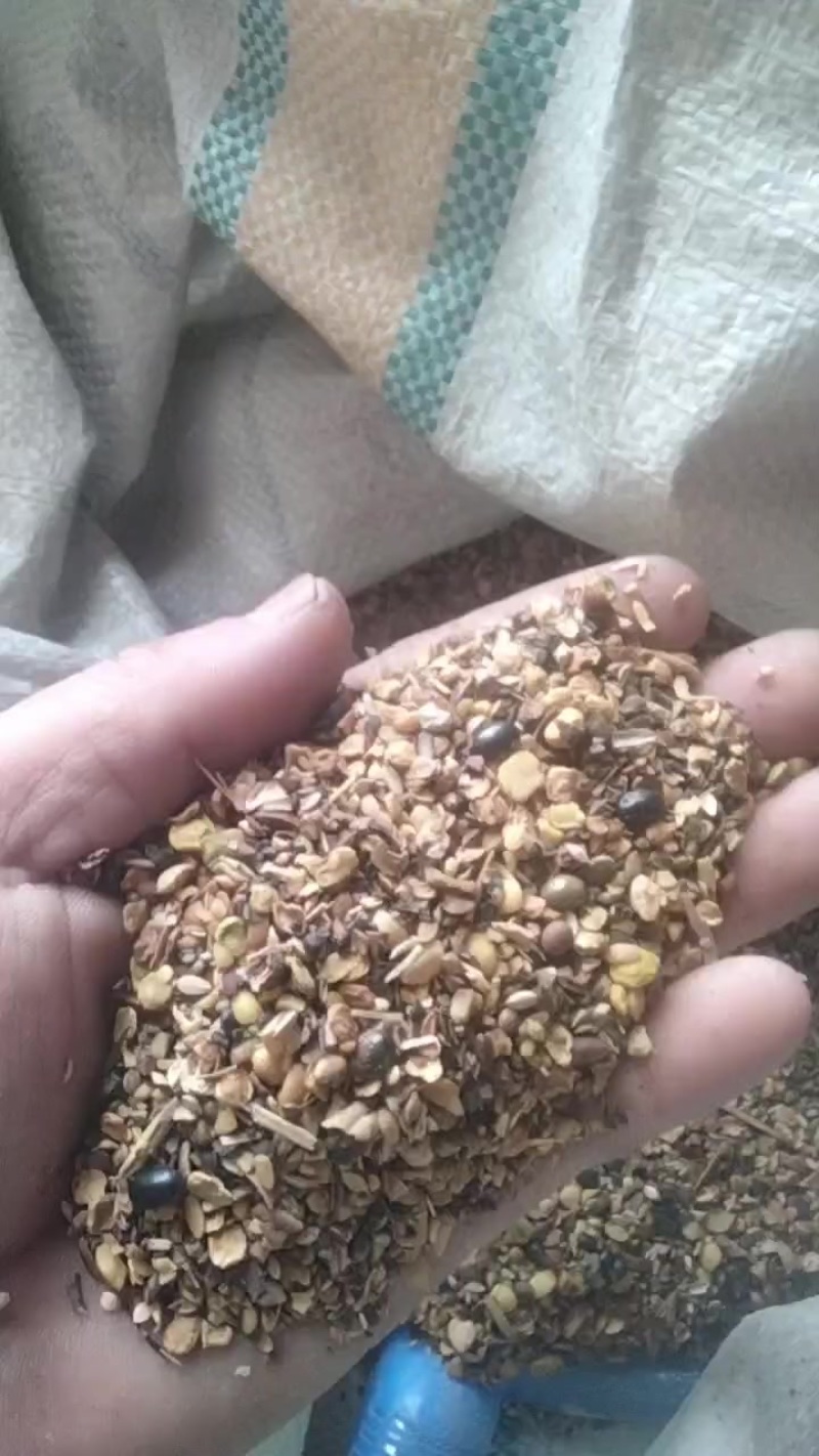 畜牧专用炒熟黄豆