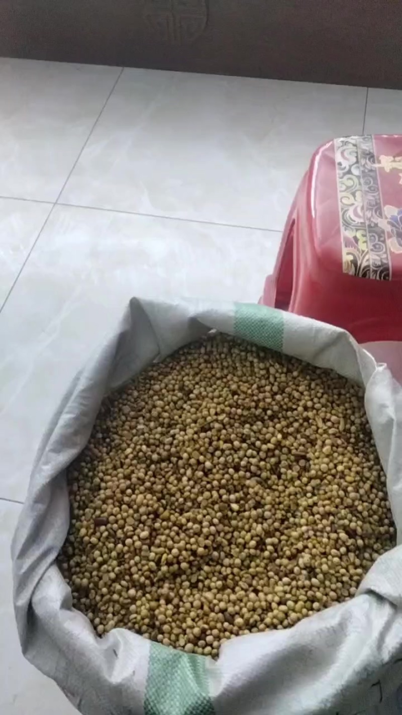 畜牧专用炒熟黄豆