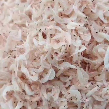 淡干无盐虾皮