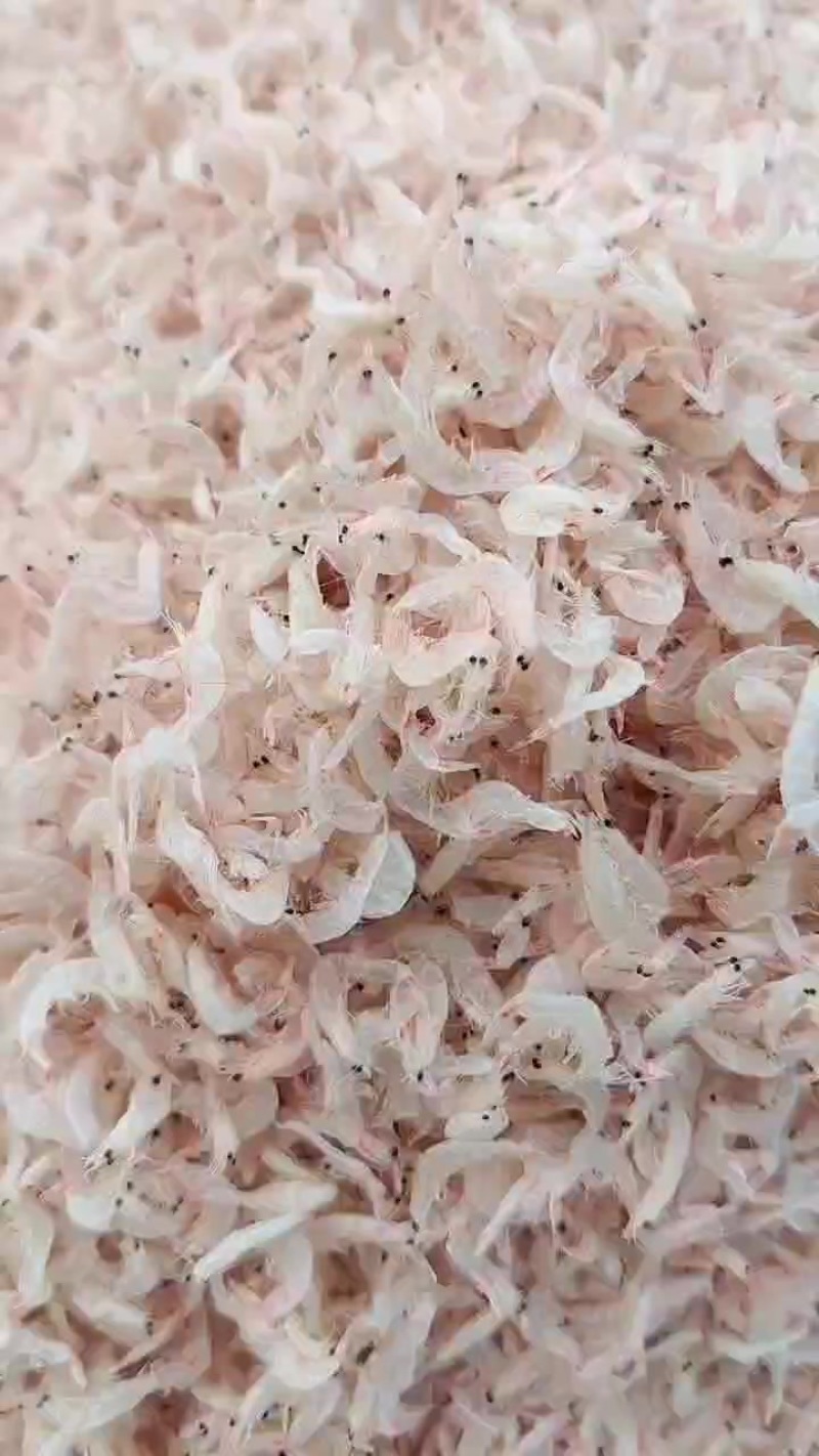 淡干无盐虾皮