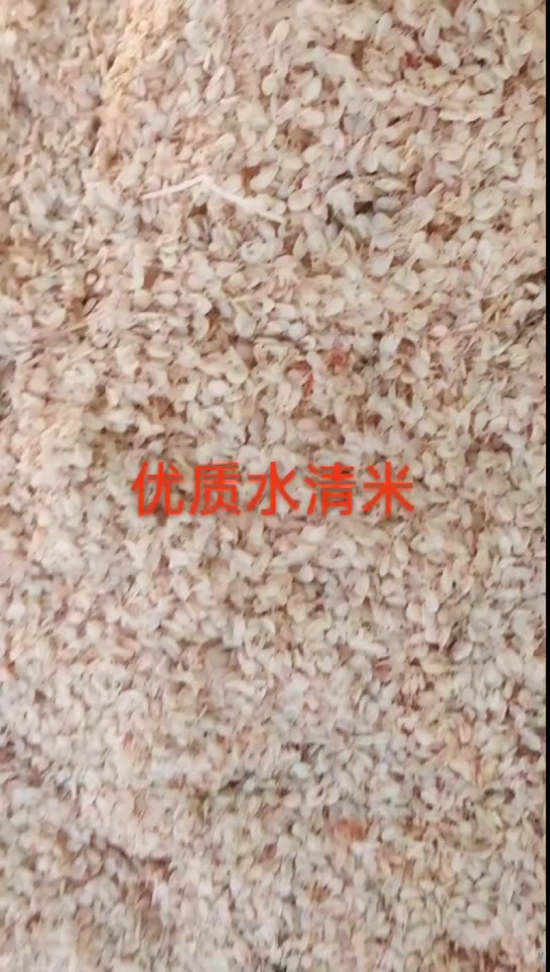 淡干无盐虾皮