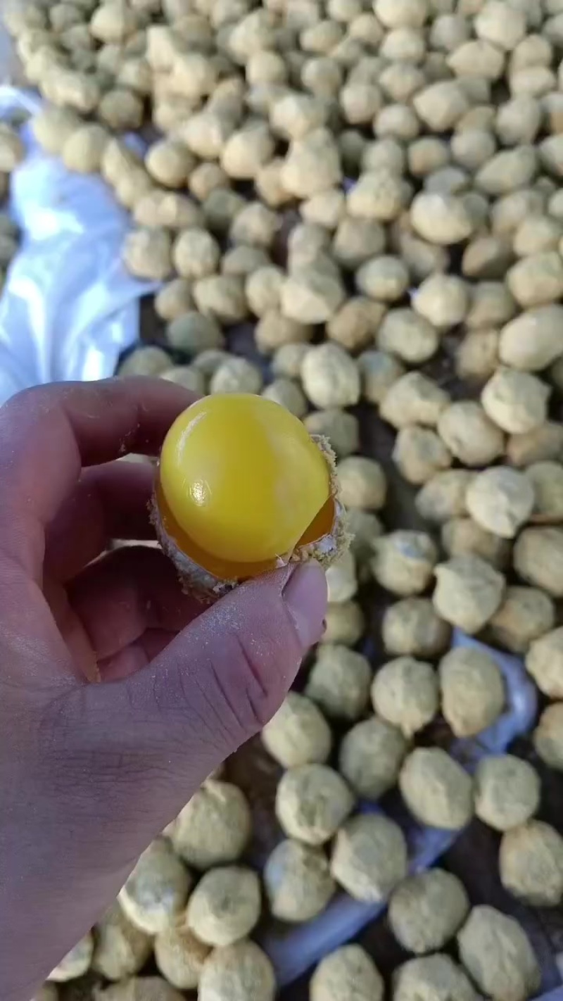 河南五香黄金变蛋